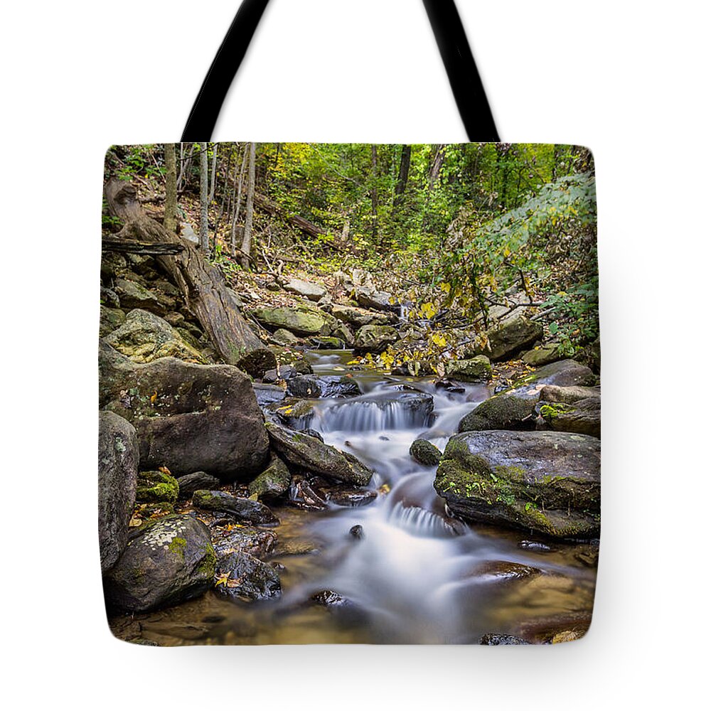 Amicalola-falls Tote Bag featuring the photograph Fall arrives at Amicalola Falls by Bernd Laeschke