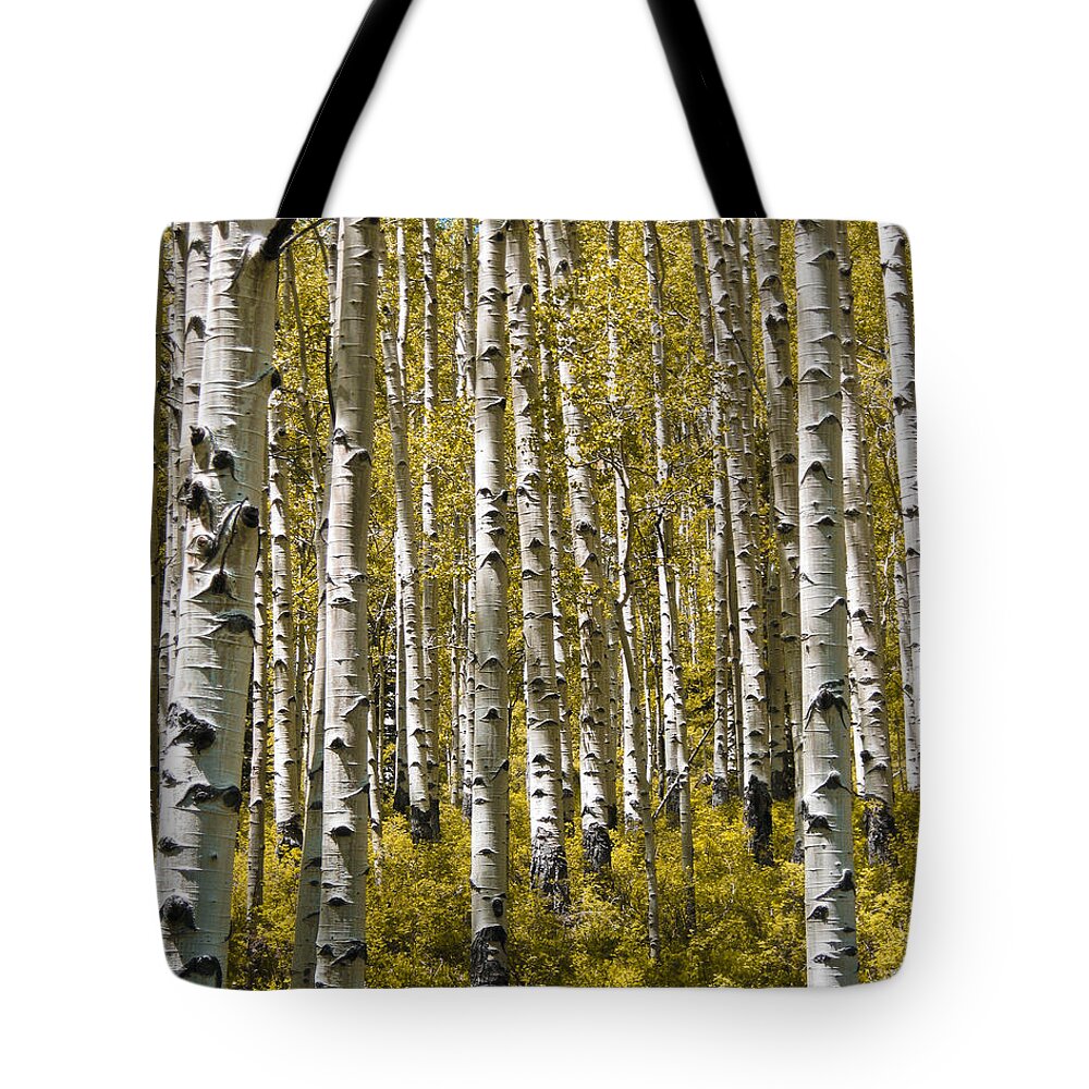 3scape Photos Tote Bag featuring the photograph Fall Aspens by Adam Romanowicz