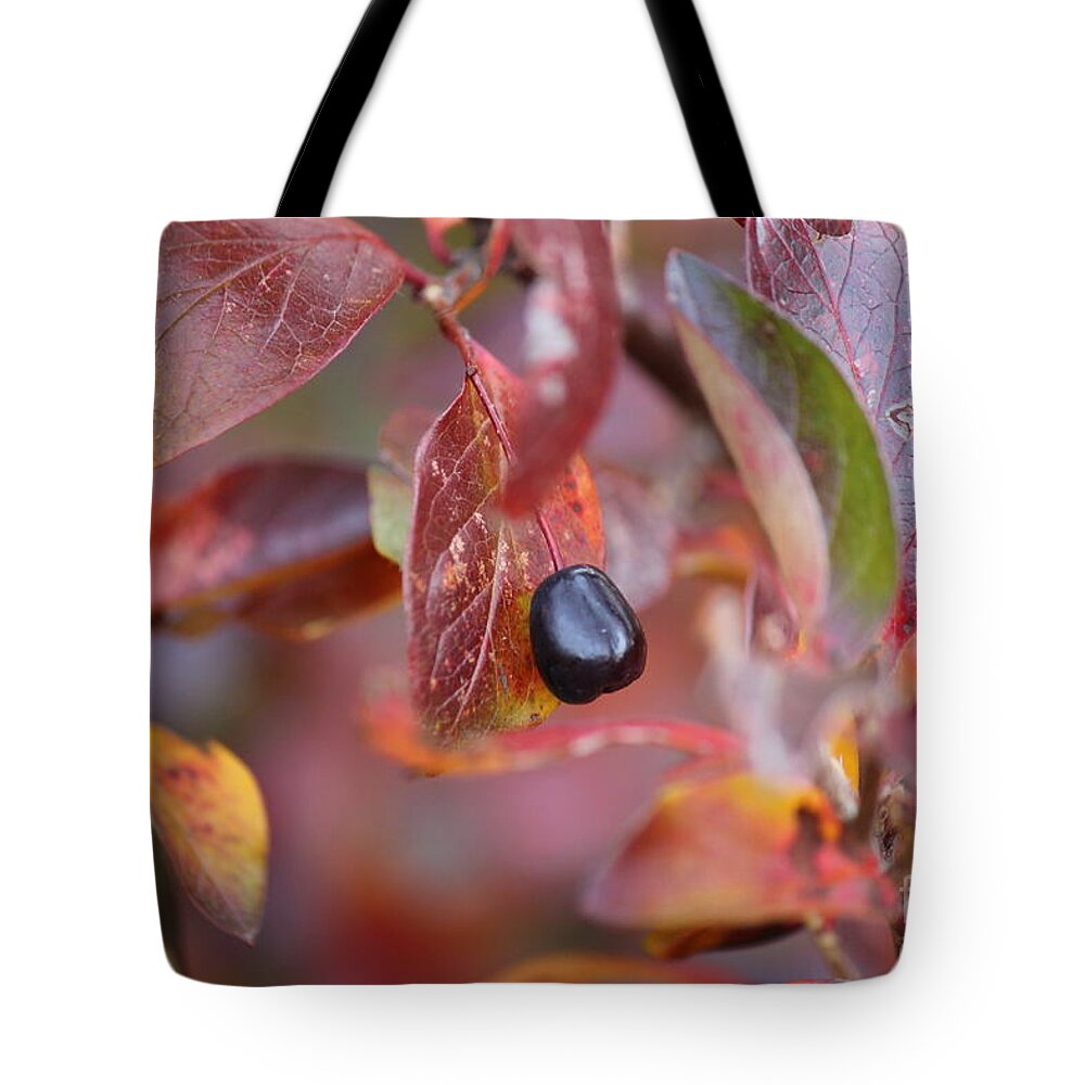 Fall Tote Bag featuring the photograph Fall Berry by Ann E Robson