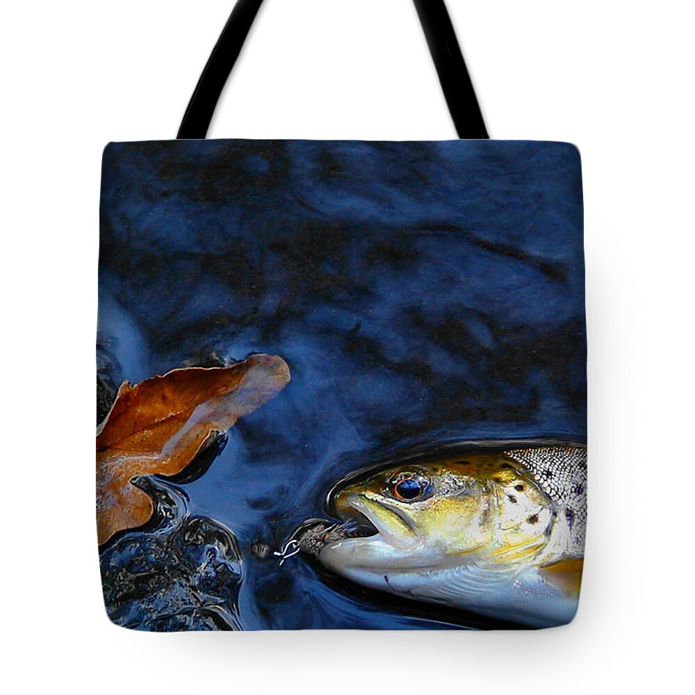Trout Tote Bag featuring the photograph Fall Brown Trout by Thomas Young