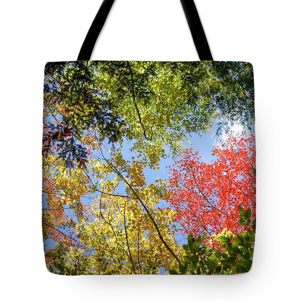 Autumn Tote Bag featuring the photograph Fall Color in New England by David Birchall