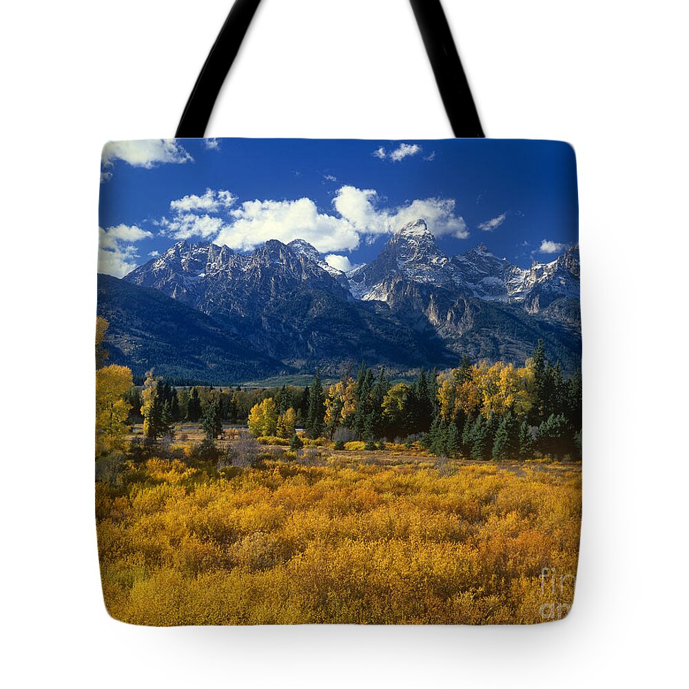 Dave Welling Tote Bag featuring the photograph Fall Color Tetons Blacktail Ponds Grand Tetons Nationa by Dave Welling
