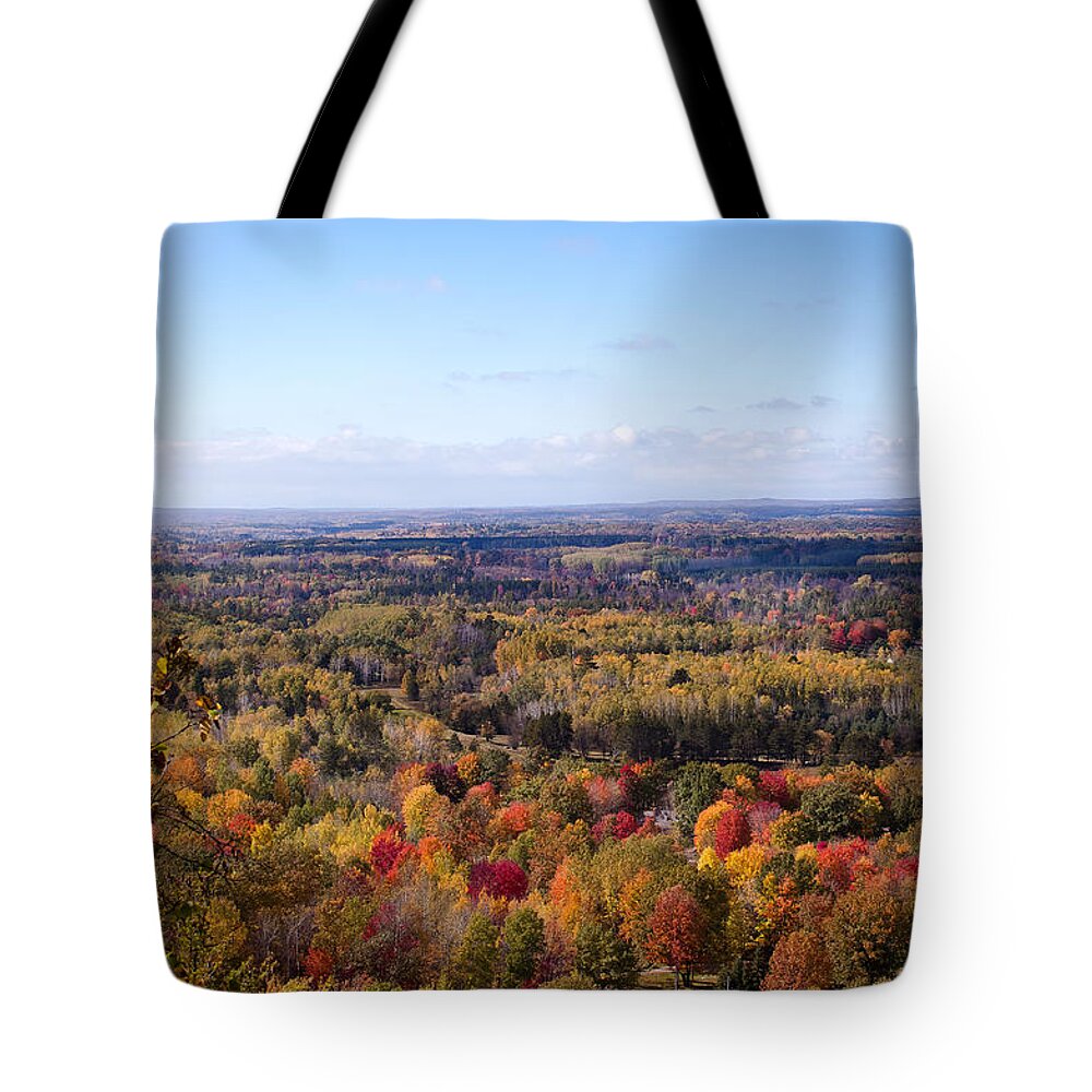 Fall Colors Tote Bag featuring the photograph Fall Colors by Gwen Gibson