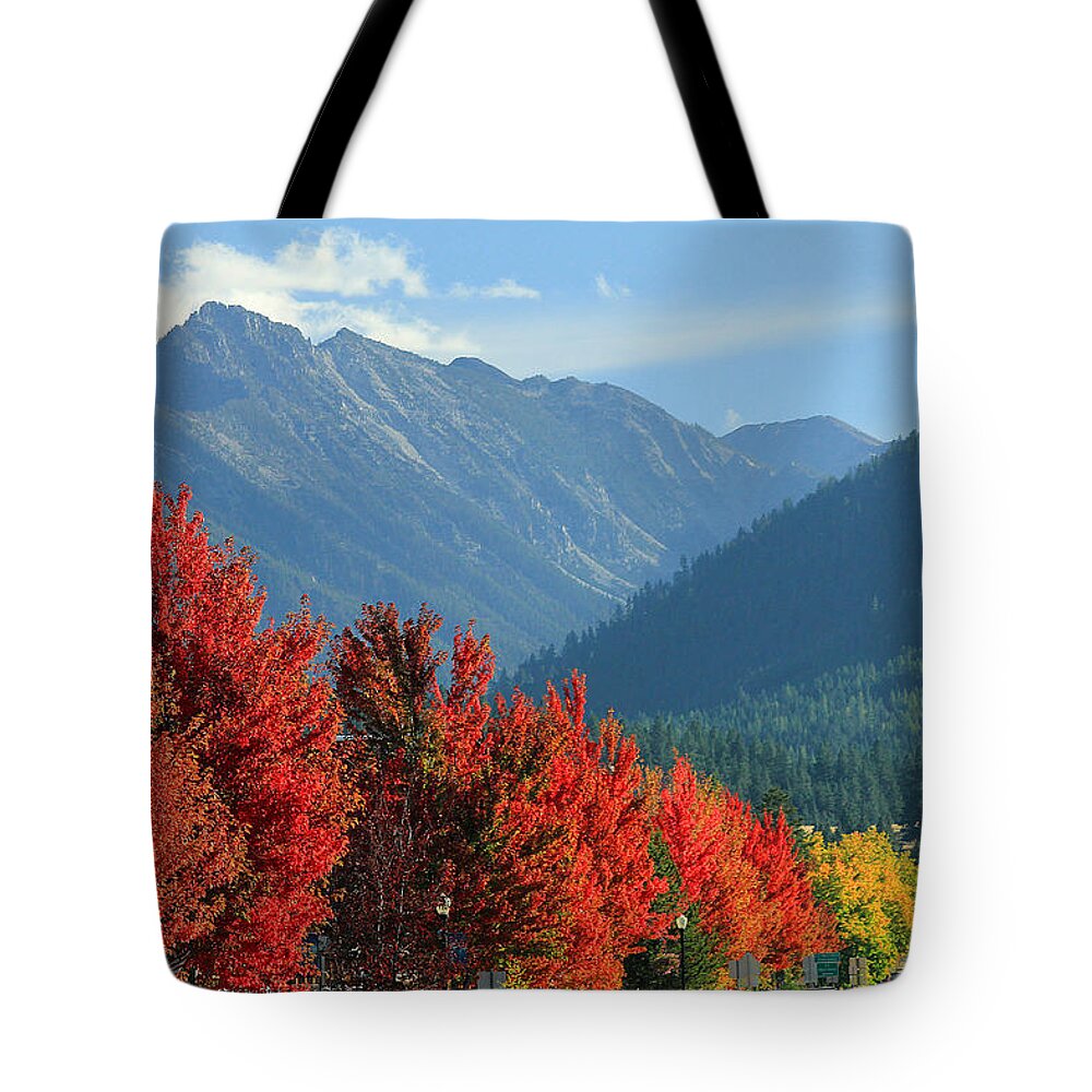 Fall Colors Tote Bag featuring the photograph Fall Colors in Joseph Or by Ed Cooper Photography