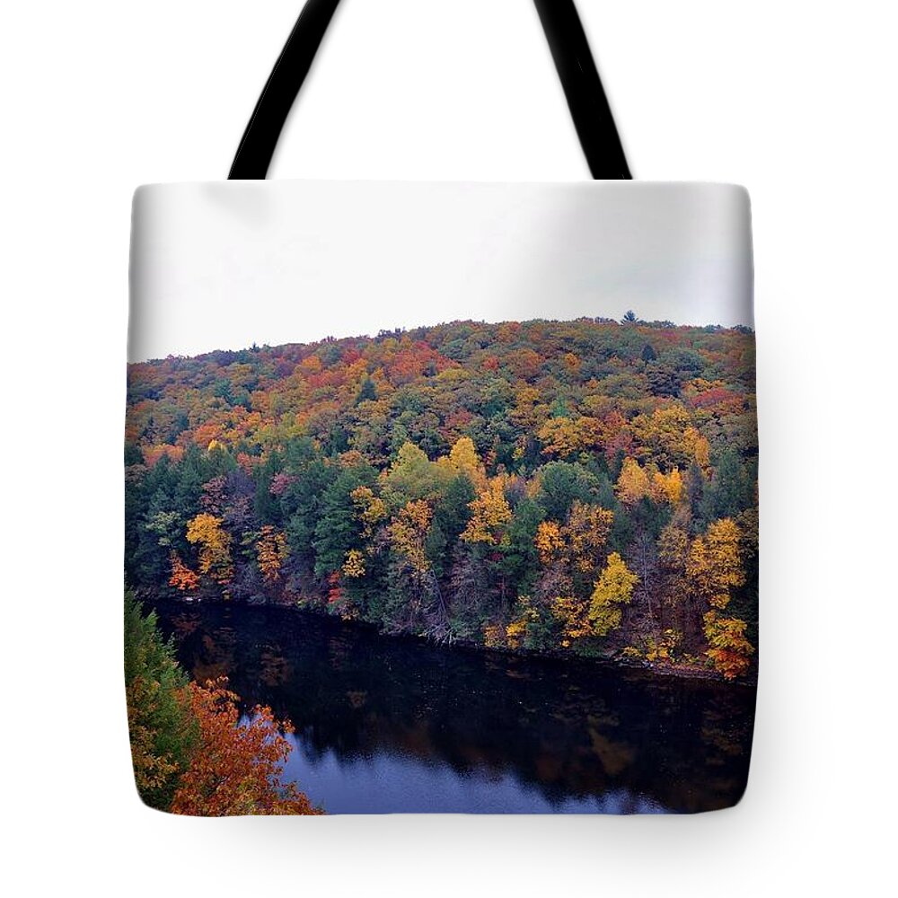 Fall Tote Bag featuring the photograph Fall Colors by Robert Habermehl