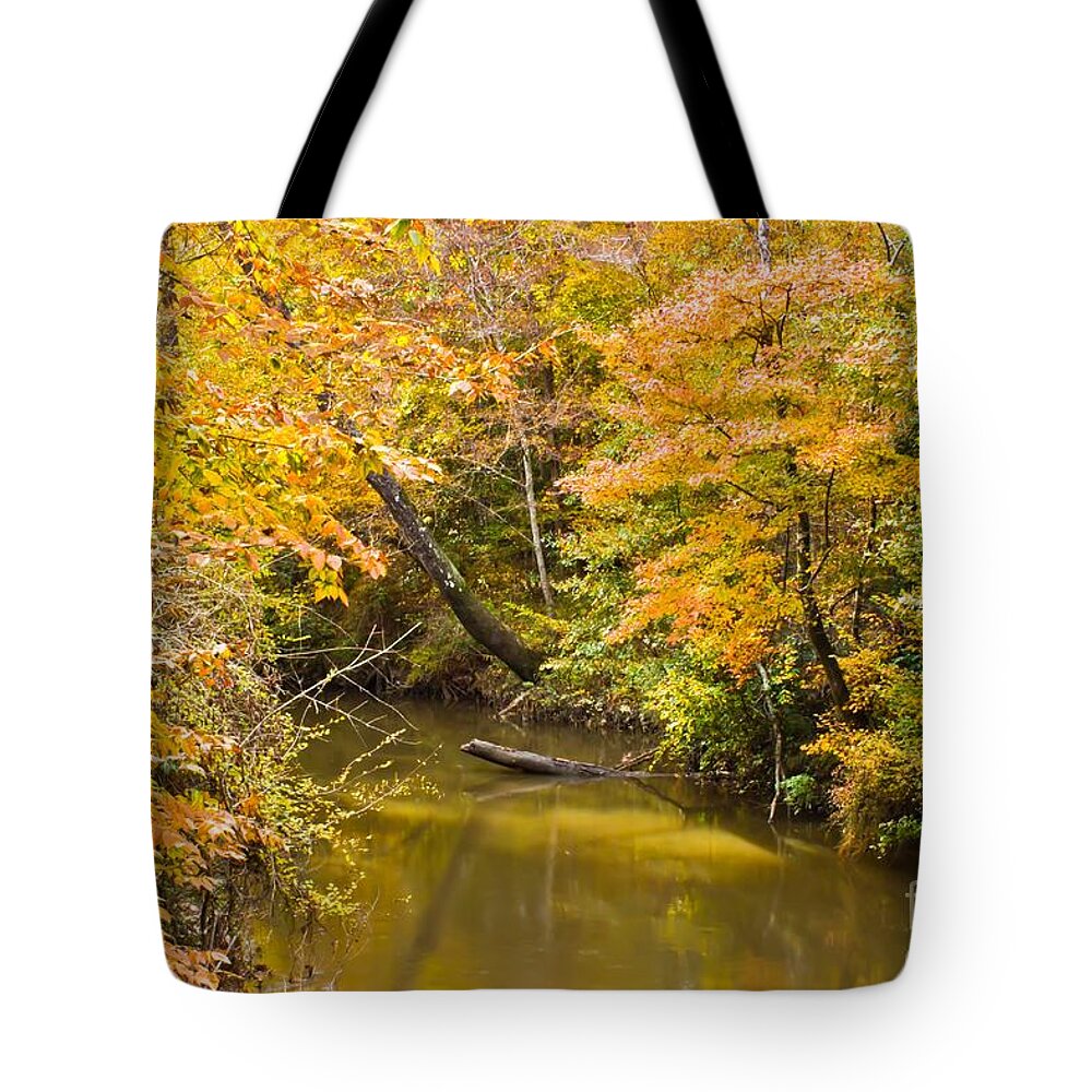 Michael Tidwell Photography Tote Bag featuring the photograph Fall Creek Foliage by Michael Tidwell