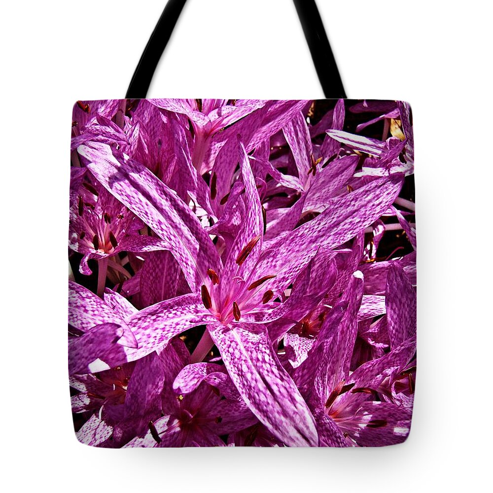 Flora Tote Bag featuring the photograph Fall Crocus by Nick Kloepping