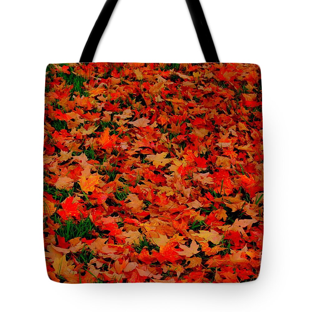Fall Fell Tote Bag featuring the photograph Fall Fell by Eunice Miller