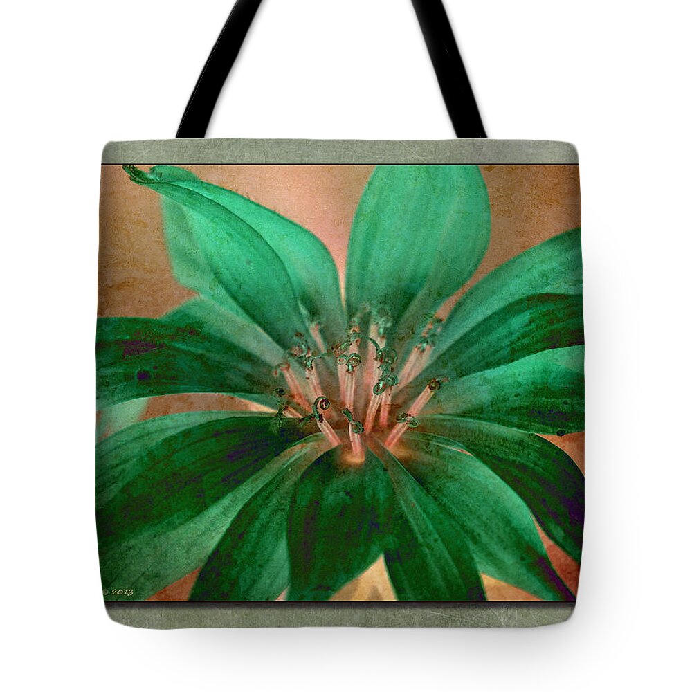 Wildflower Tote Bag featuring the photograph Fall Flower 2 by WB Johnston