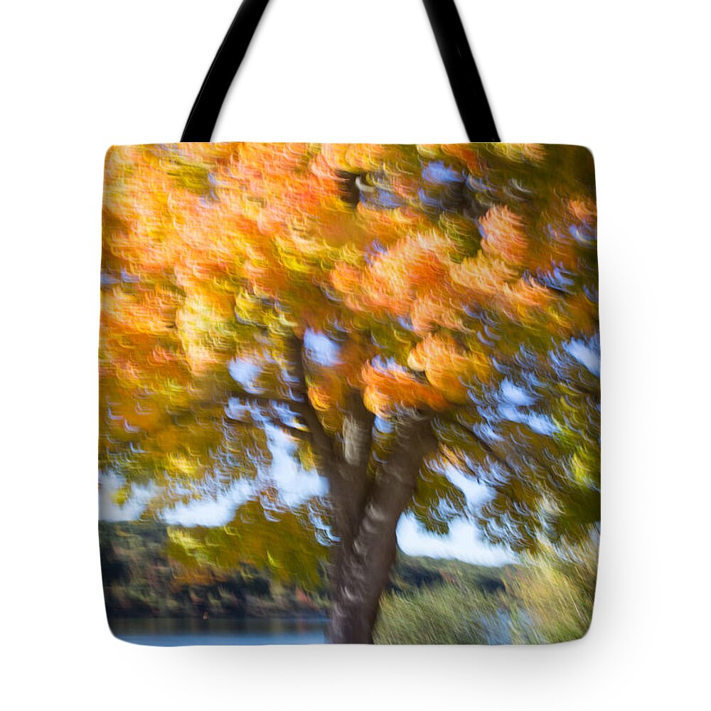 Fall Leafs Tote Bag featuring the photograph Fall Colors Aglow by JBK Photo Art