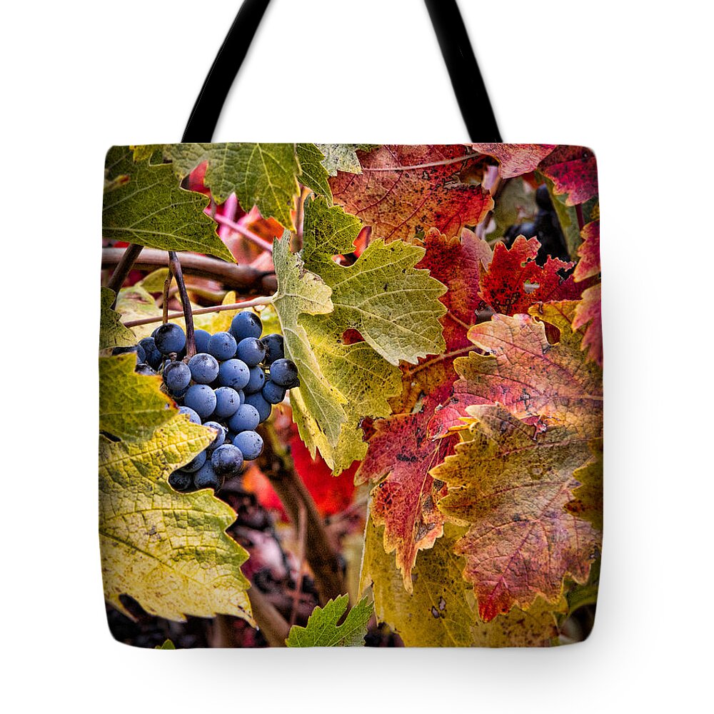 Grapes Tote Bag featuring the photograph Fall Grapes by Ana V Ramirez