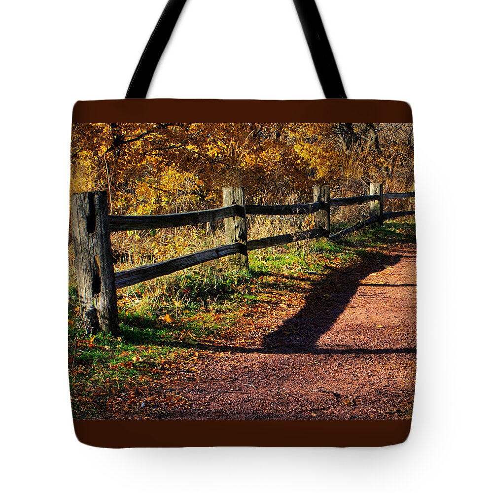 Chicago Tote Bag featuring the photograph Fall in Chicago by Roger Passman