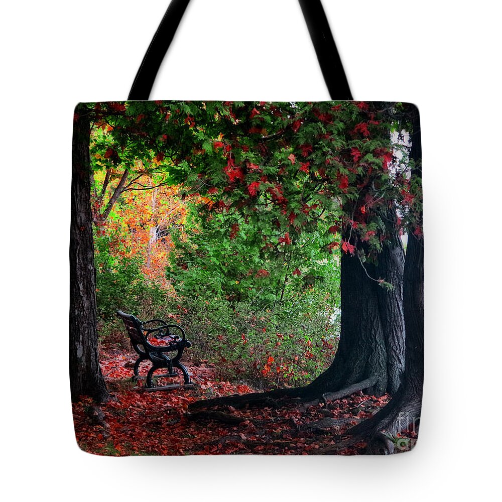 Autumn Tote Bag featuring the photograph Fall In Henes Park by Ms Judi