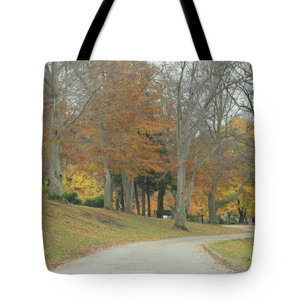 Fall Tote Bag featuring the photograph Autumn Day in NE Ohio by Valerie Collins