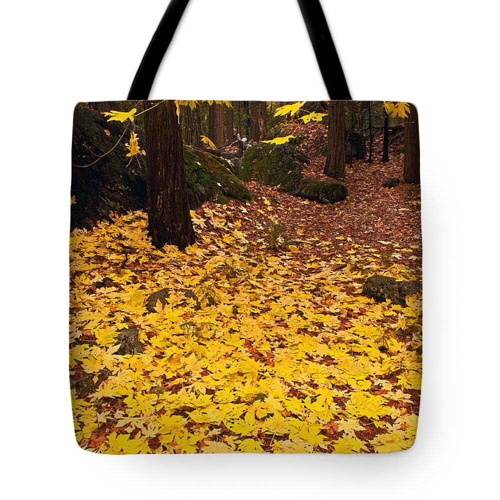  Tote Bag featuring the photograph Fall in Yosemite Valley by Dana Sohr
