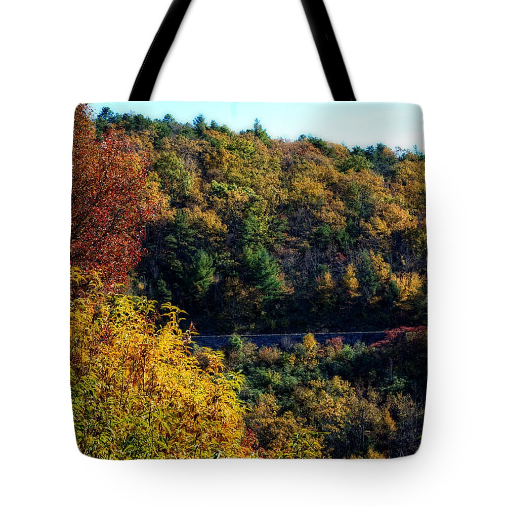 Fall Tote Bag featuring the photograph Fall on the Blue Ridge Parkway by Cathy Shiflett