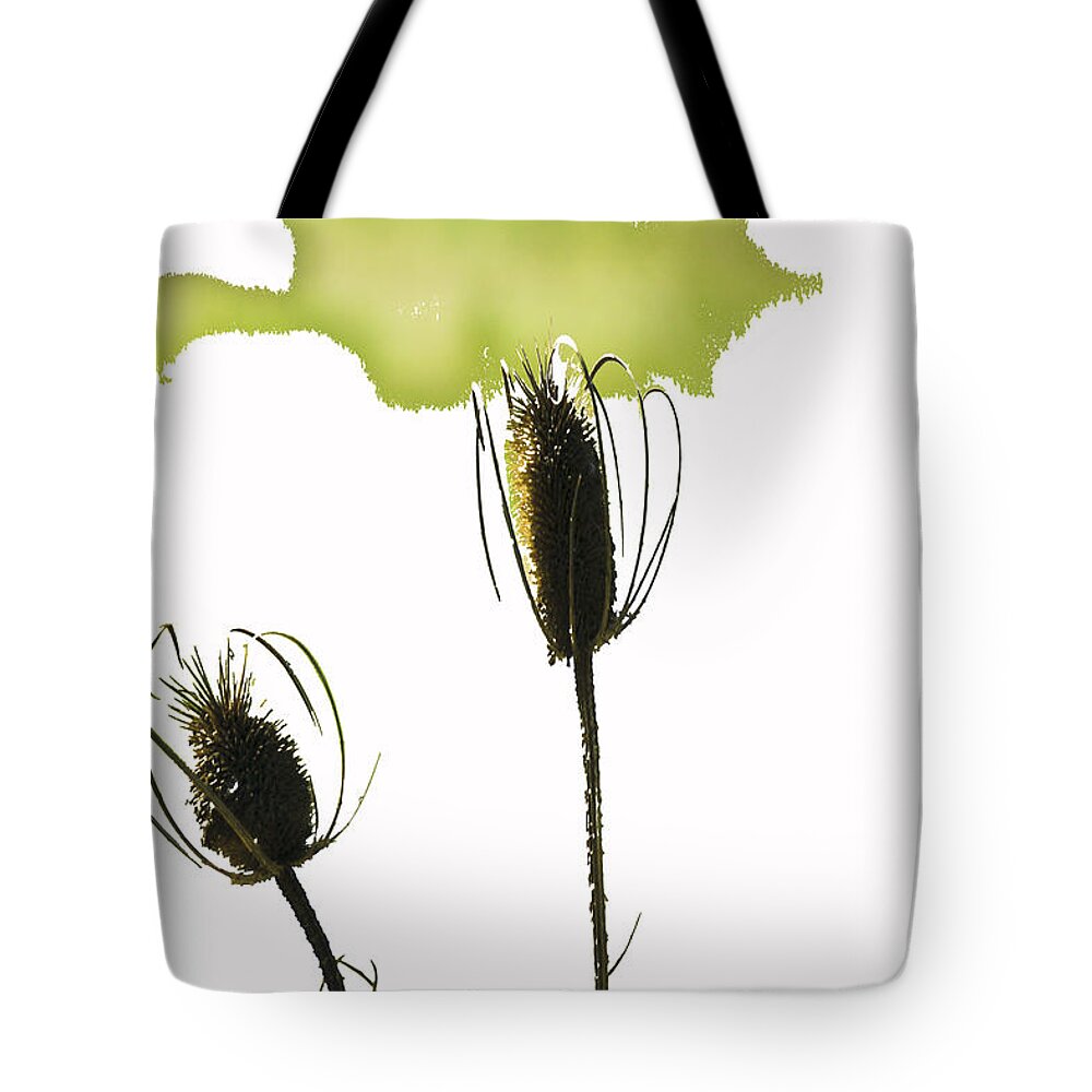 Botanical Tote Bag featuring the photograph Fall on White by Rich Collins
