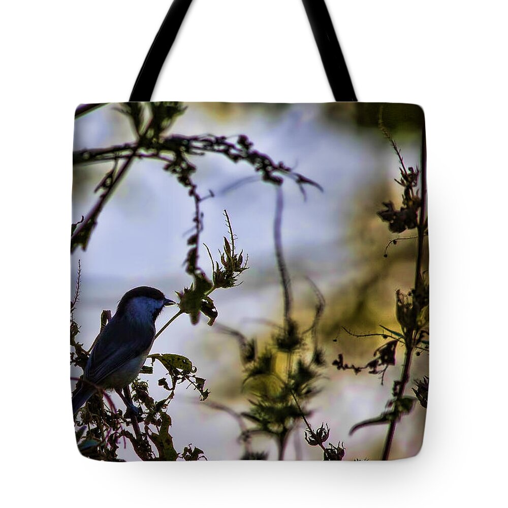Temple Tote Bag featuring the photograph Fall Silhouette by Gary Holmes