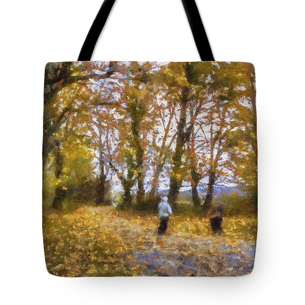 Digital Painting Tote Bag featuring the painting Fall Stroll by Barry Jones