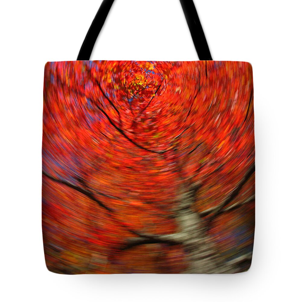 Intentional Camera Movement Tote Bag featuring the photograph Fall Tree Carousel by Juergen Roth