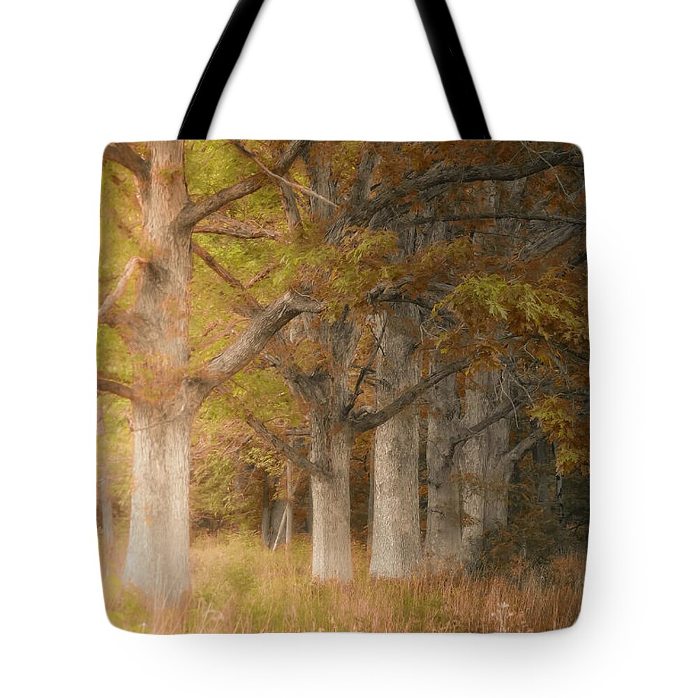 Fall Autumn Colors Tote Bag featuring the photograph Fall Tree Colors The Pines by Peggy Franz