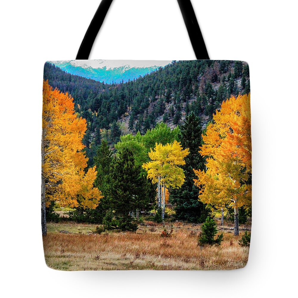 Fall Trees Tote Bag featuring the photograph Fall Trees by Juli Ellen
