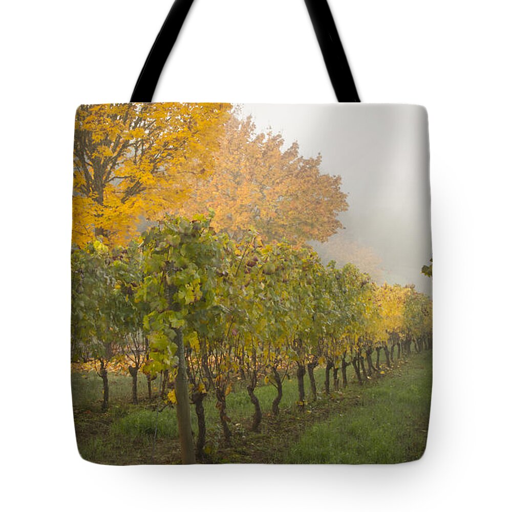 Jean Noren Tote Bag featuring the photograph Fall Vineyard Colors by Jean Noren