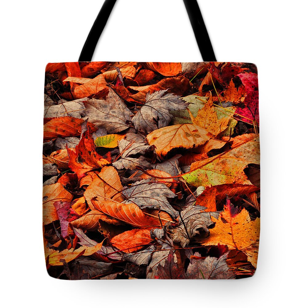 Autumn Tote Bag featuring the photograph Fallen Colors by Randy Rogers
