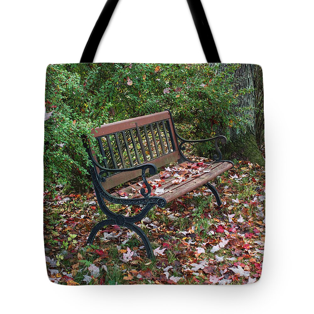 Autumn Tote Bag featuring the photograph Falling Leaves by Arlene Carmel
