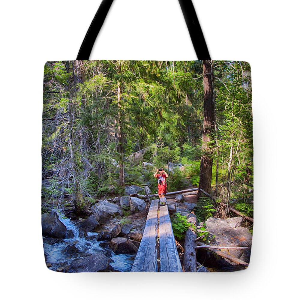 Methow Valley Tote Bag featuring the photograph Falls Creek Footbridge by Omaste Witkowski