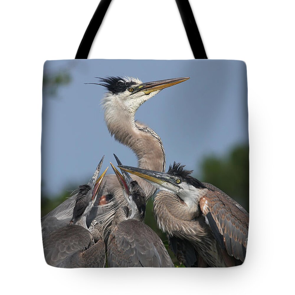 Great Tote Bag featuring the photograph Family Portrait by Jayne Carney