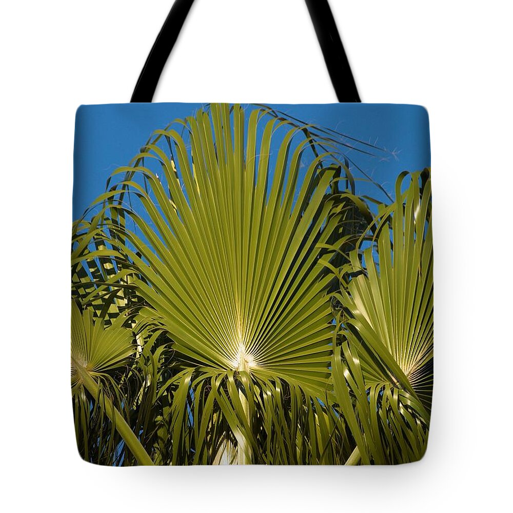 California Tote Bag featuring the photograph Fan Palm by Steve Ondrus