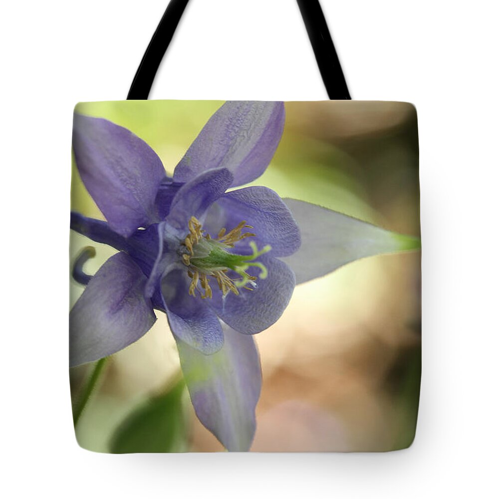 Floral Tote Bag featuring the photograph Fantasia by Connie Handscomb