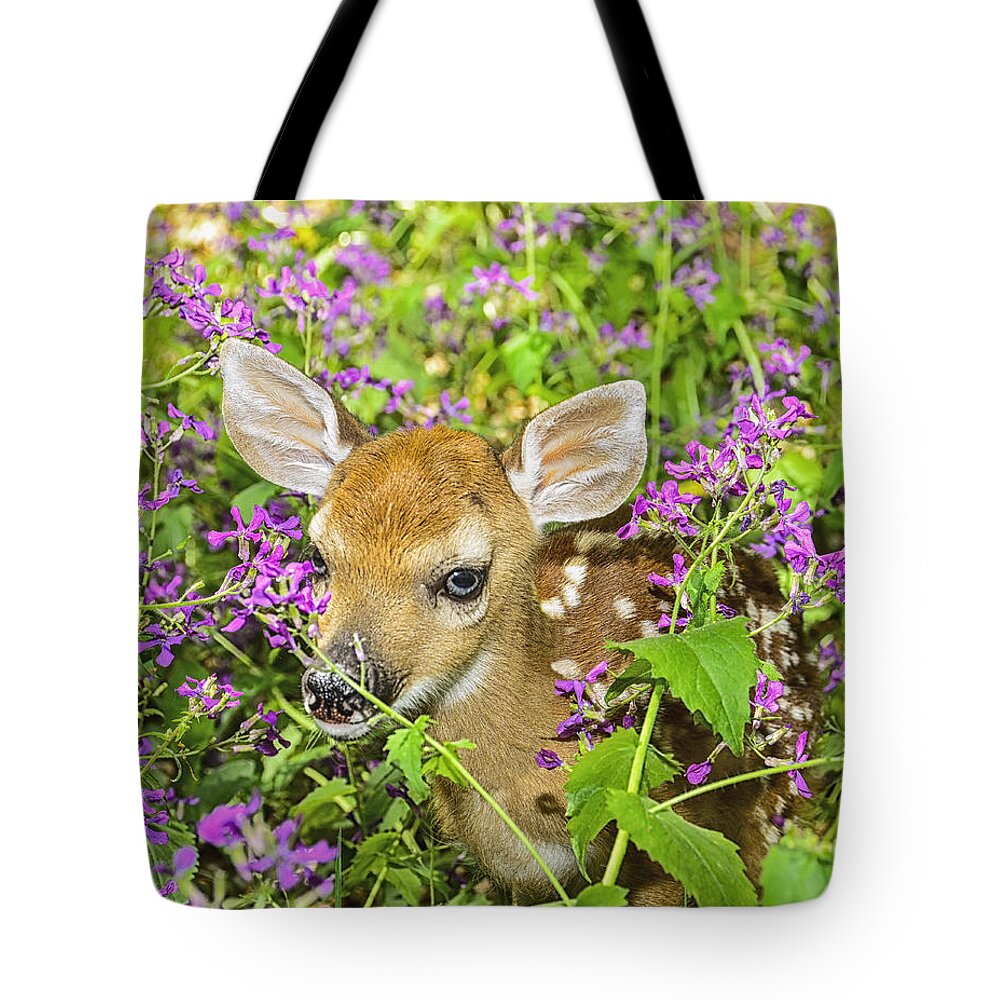 Whitetail Deer Tote Bag featuring the photograph Fawn in Wildflowers by Peg Runyan