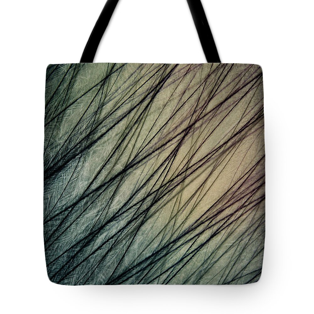 Feather Tote Bag featuring the photograph Feather III by Sharon Johnstone