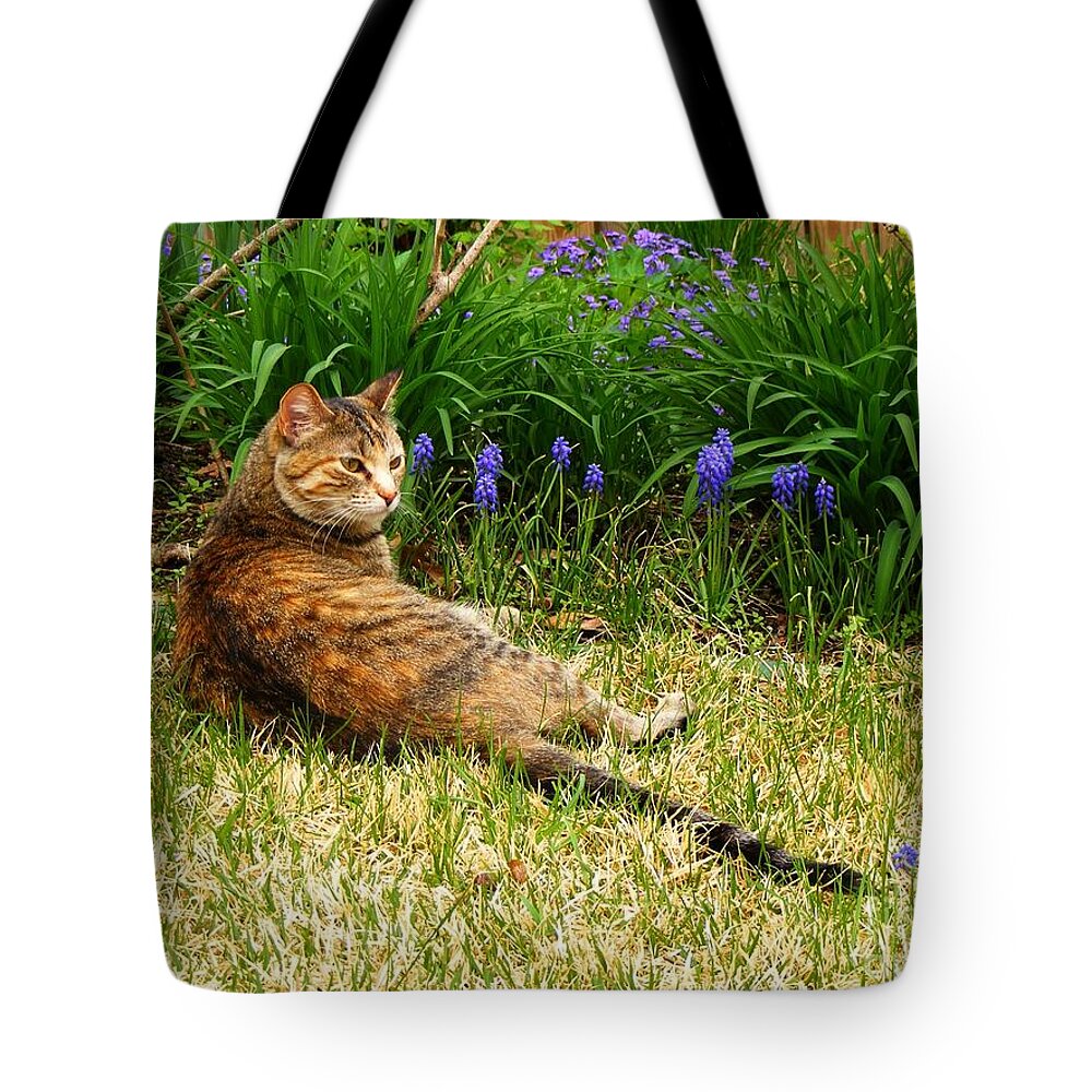 Photography Tote Bag featuring the photograph Feather in Spring by Nancy Kane Chapman