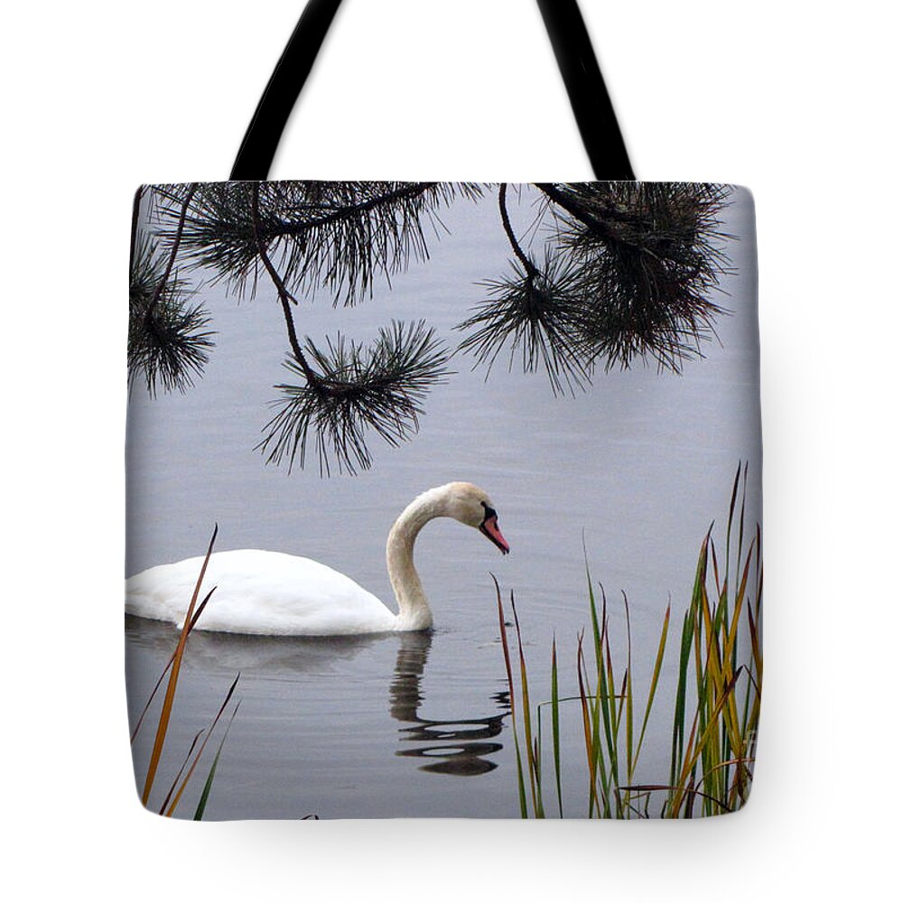 Geese Tote Bag featuring the photograph Feathered Friend Along The Shoreline by Cedric Hampton