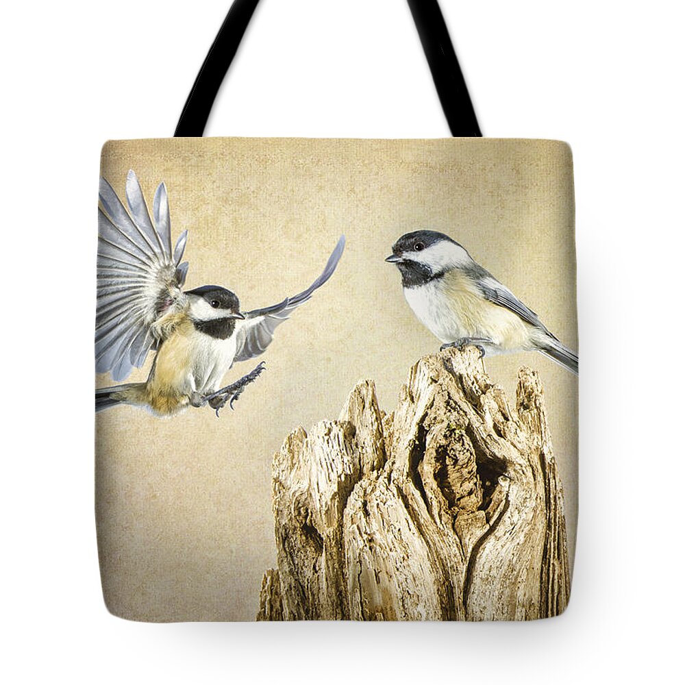 Bird Tote Bag featuring the photograph Feathered Friends by Peg Runyan