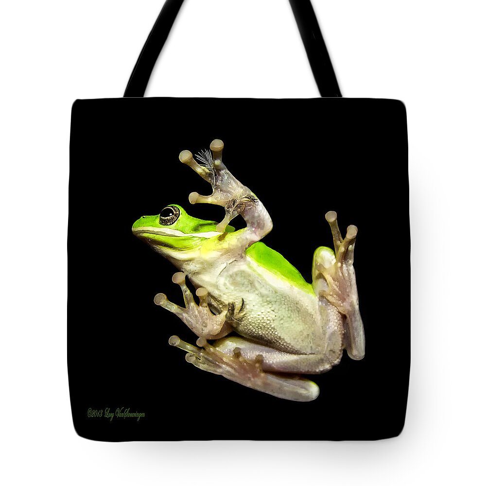 Feather Tote Bag featuring the photograph Feathered Frog by Lucy VanSwearingen