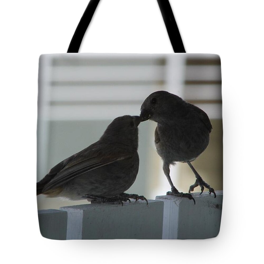 Birds Tote Bag featuring the photograph Feed Me by Catie Canetti