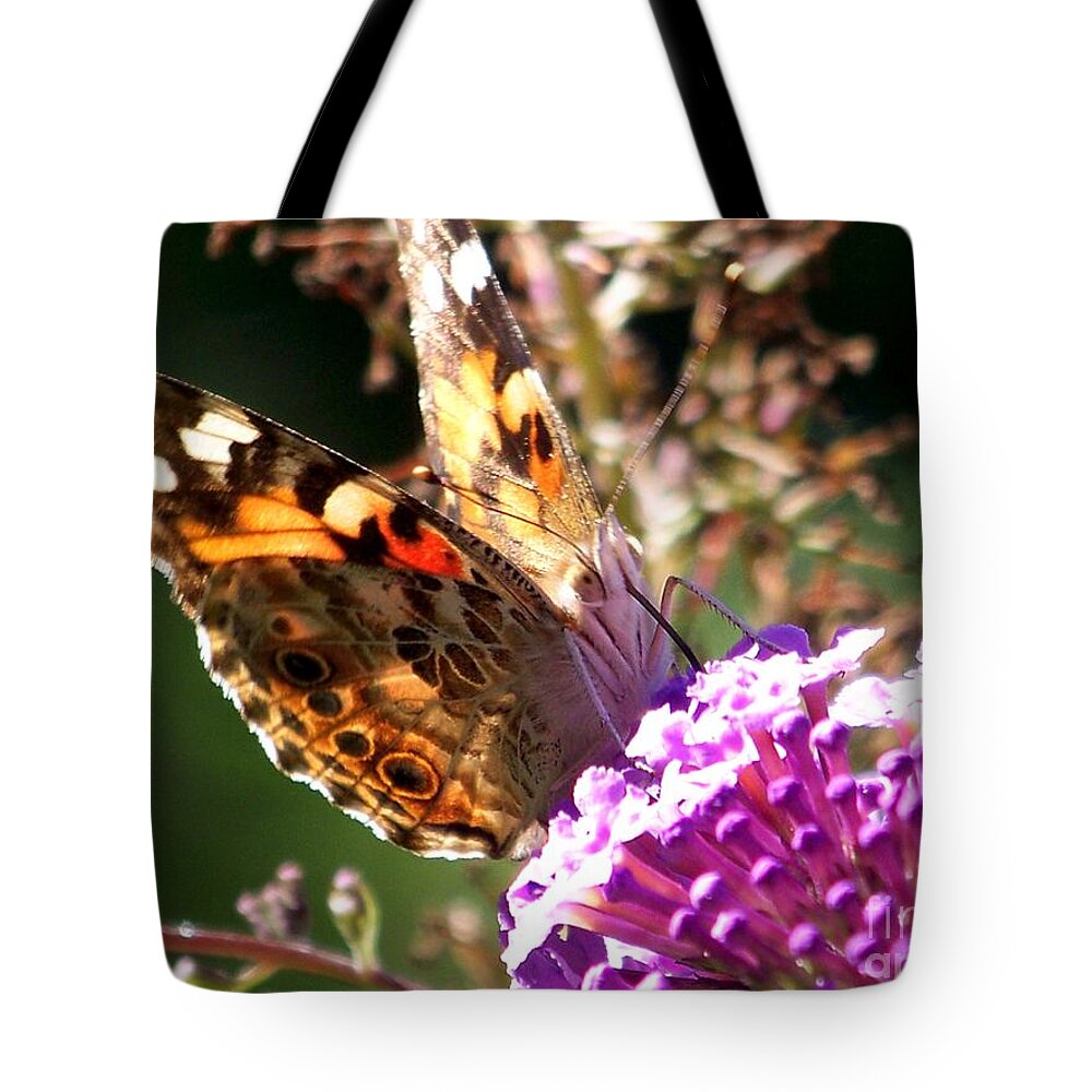Butterfly Tote Bag featuring the photograph Painted Lady Moth/Butterfly Gift Ideas by Eunice Miller