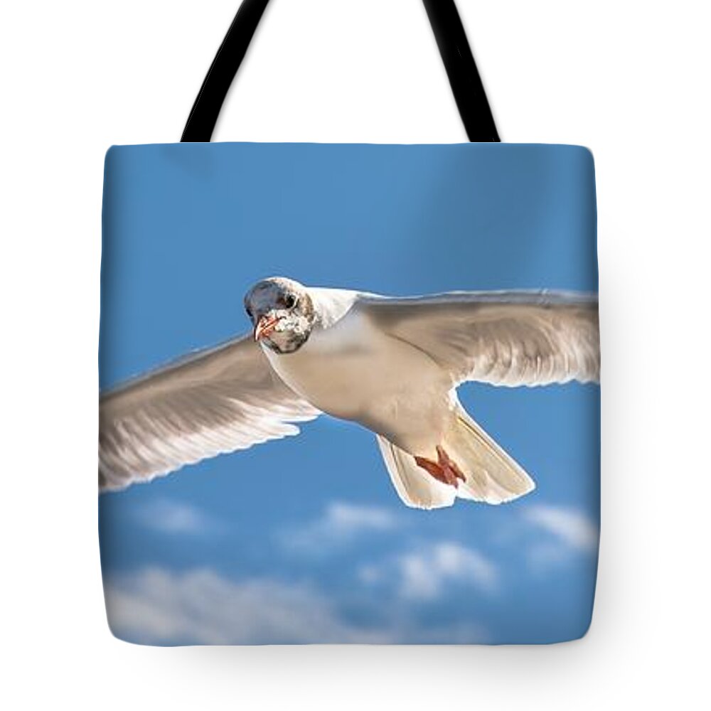 Bird Tote Bag featuring the photograph Feel the Freedom by Andreas Berthold