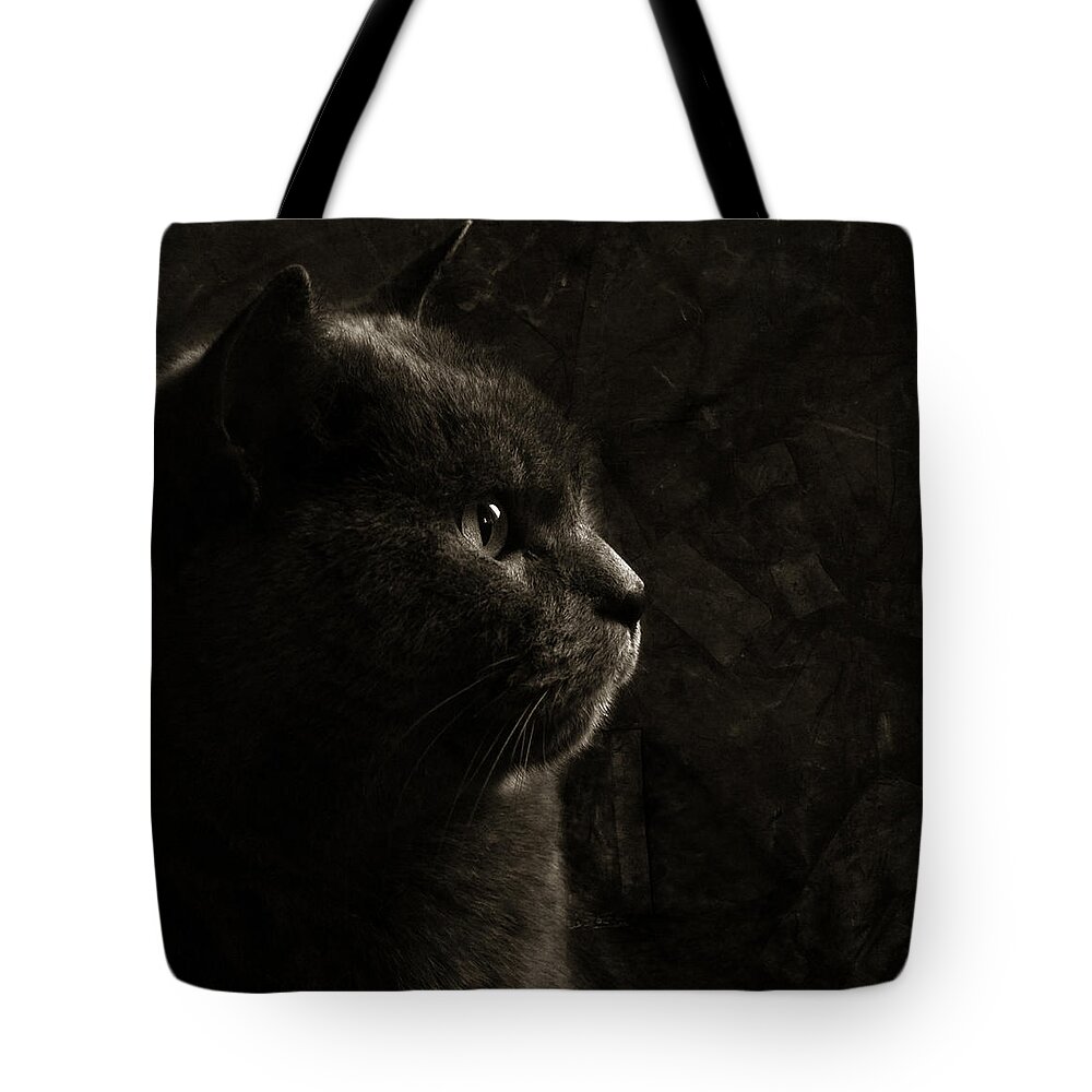 Cat Tote Bag featuring the photograph Feline perfection by Laura Melis