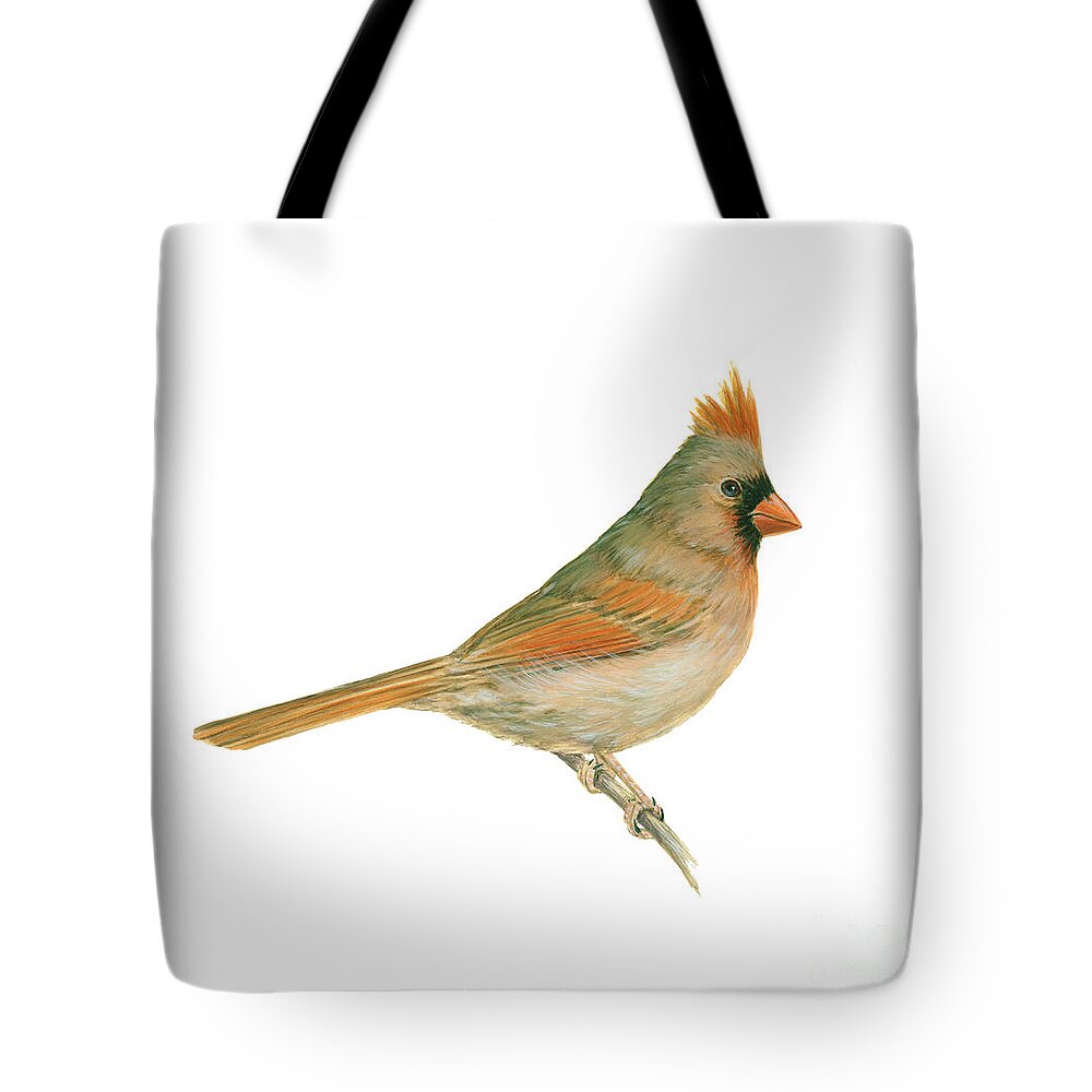 Art Tote Bag featuring the photograph Female Cardinal by Carlyn Iverson