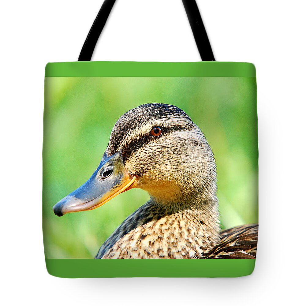 Female Mallard Duck Tote Bag featuring the photograph Female Mallard Duck by Crystal Wightman
