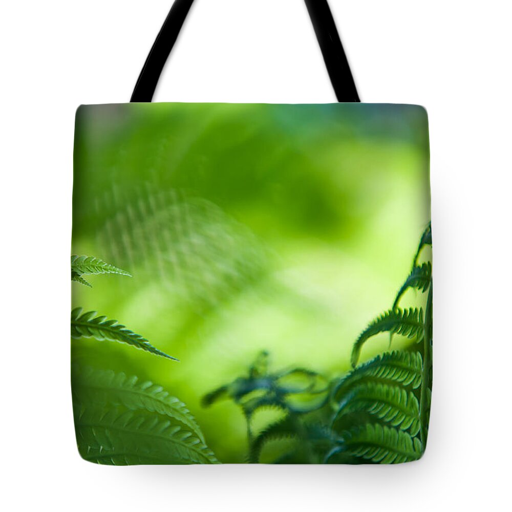 Jenny Rainbow Fine Art Photography Tote Bag featuring the photograph Fern Leaves. Healing Art by Jenny Rainbow