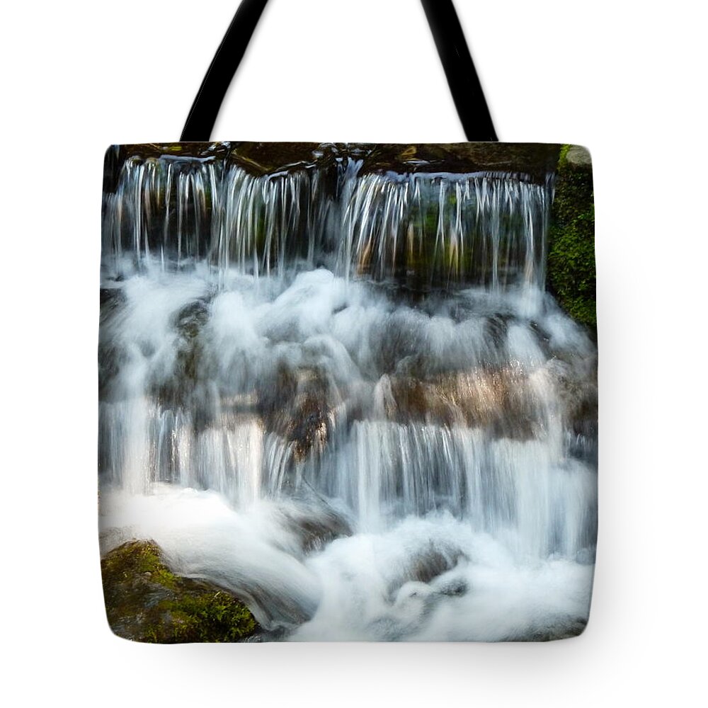 Fern Tote Bag featuring the photograph Fern Spring Yosemite by Jeff Lowe