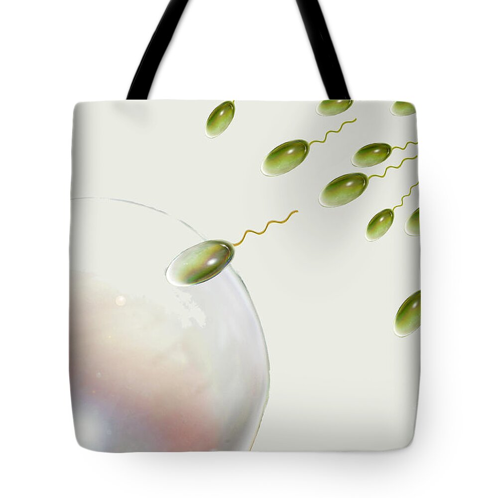 Science Tote Bag featuring the photograph Fertilisation, Artwork by Sigrid Gombert