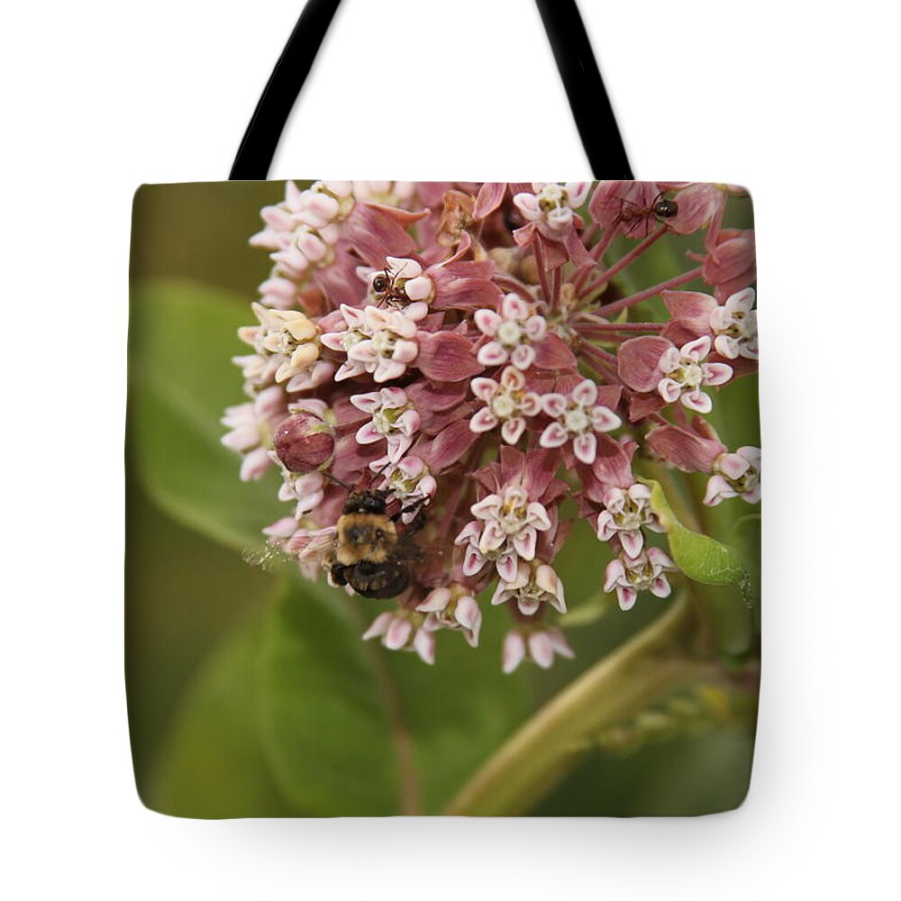 Bee Tote Bag featuring the photograph Ff-19 by David Yocum
