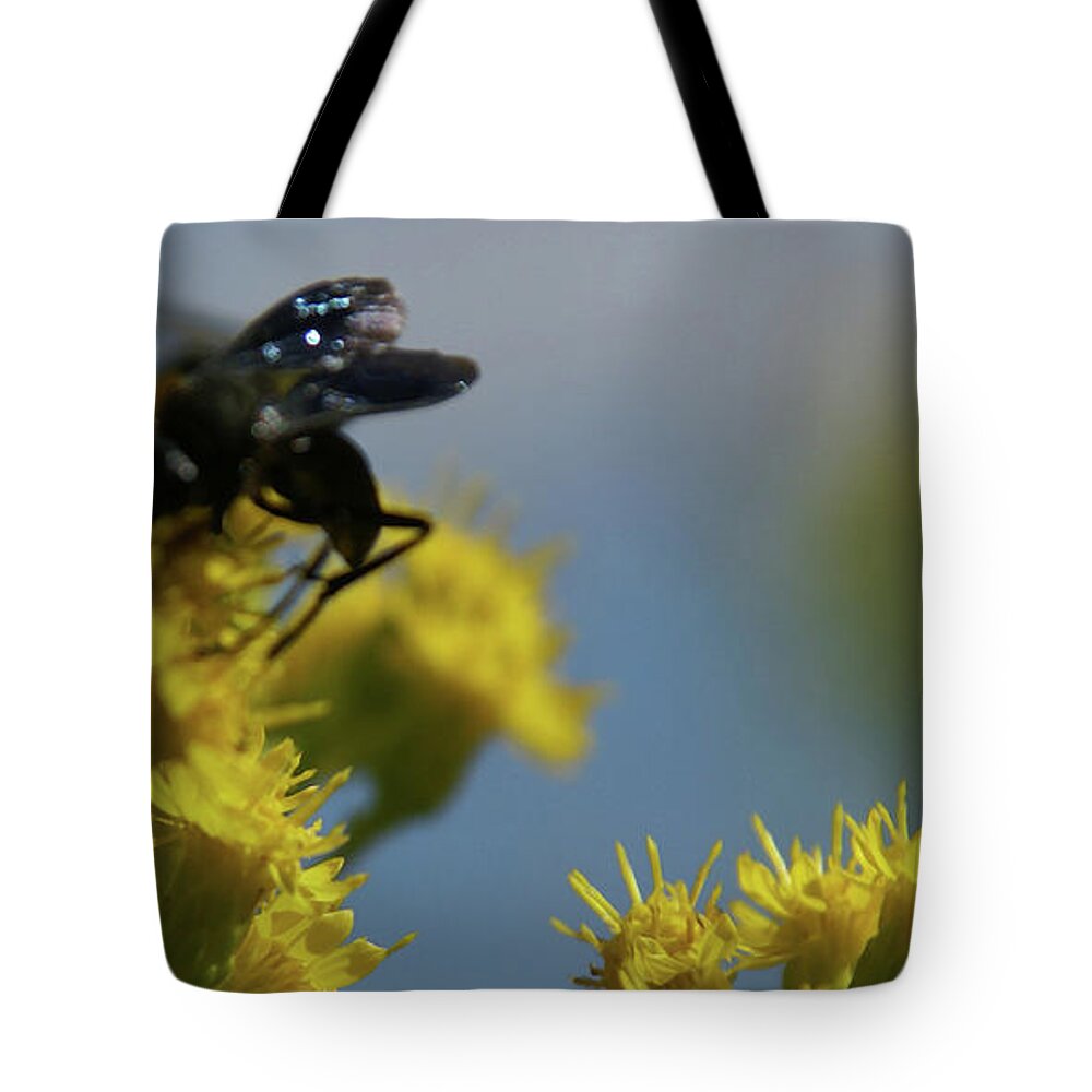 Flower Tote Bag featuring the photograph Field Dance by Linda Shafer
